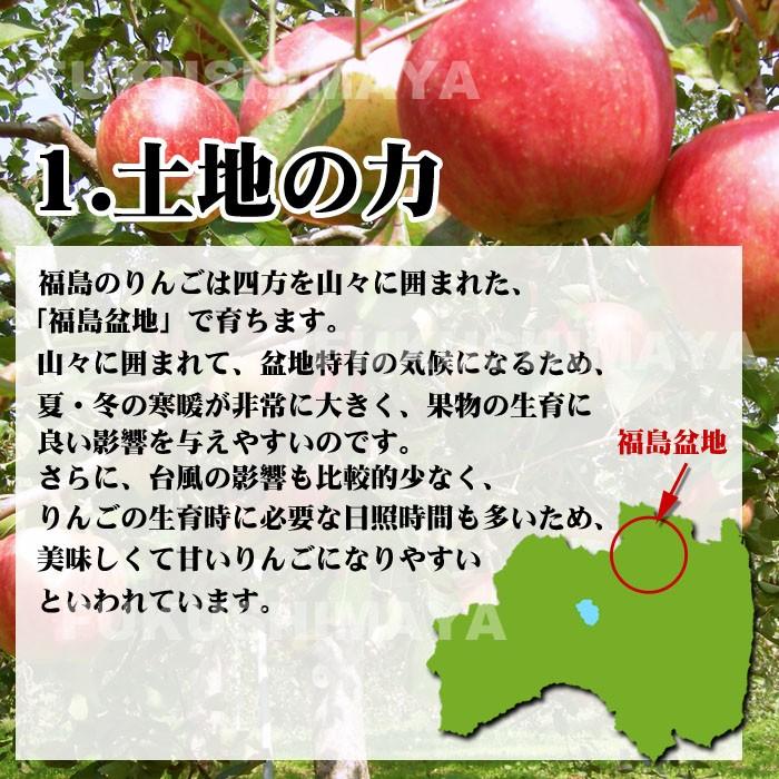 福島産  富士りんご 家庭裝 20Kgサービス りんご 約20kg ご家庭用 葉とらずふじ 青森産 木箱 送料無料