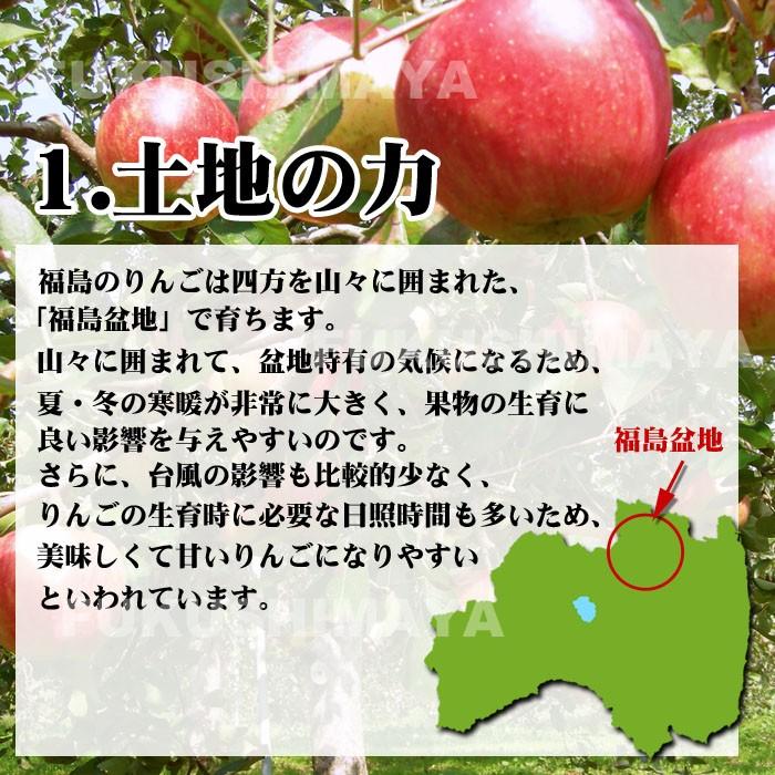 りんご 訳あり 家庭用 福島県産 訳アリ サンふじ リンゴ 4.5kg箱 9〜25玉入 格安 食品ロス 発送可能期間：11月下旬〜3月上旬頃｜fukushimasan｜04