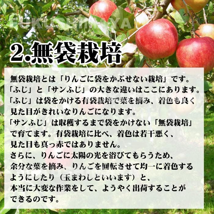 りんご 訳あり 家庭用 福島県産 訳アリ サンふじ リンゴ 4.5kg箱 9〜25玉入 格安 食品ロス 発送可能期間：11月下旬〜3月上旬頃｜fukushimasan｜05