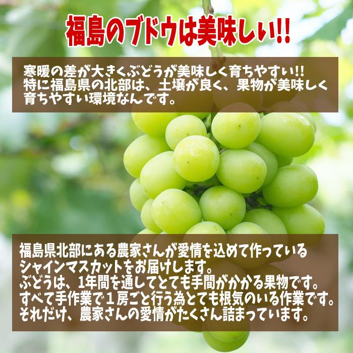 驚きの価格が実現！驚きの価格が実現！シャインマスカット 2房 約1kg