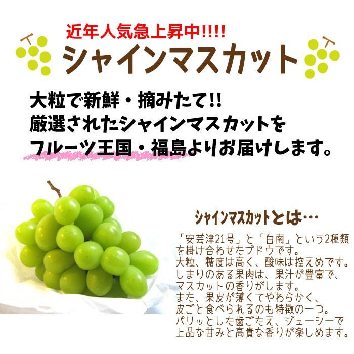 シャインマスカット 約1 5kg 3 6房入 皮ごと食べられる 産地直送 ぶどう 発送時期 10月上旬頃 11月初旬頃まで予定 Shinemuscat 2 こだわり横丁 ふくしまや 通販 Yahoo ショッピング
