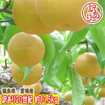 訳あり 梨 20世紀 数量限定 約13.5kg箱 (9kg箱+4.5kg箱) 24〜75玉入