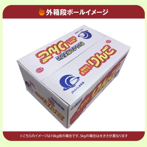 ご予約品】りんごサンふじ 28玉 特秀品10kg 送料無料 ご予約品】りんごサンふじ 28玉 特秀品10kg 送料無料