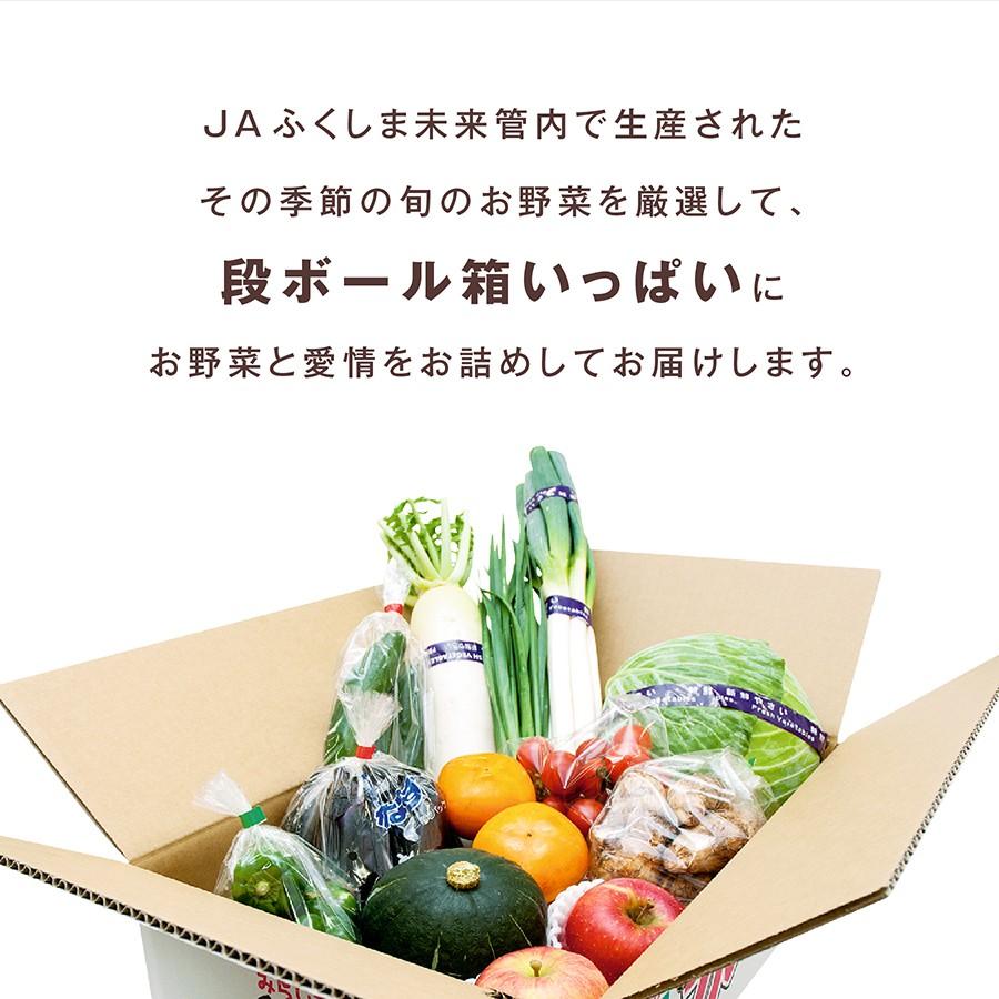 採れたて野菜詰め合わせセット｜fukusimamirai｜03