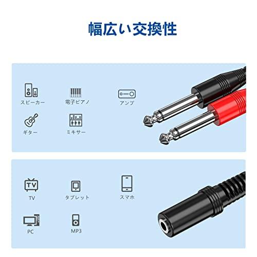 ステレオ モノラル 変換プラグ 3.5mmステレオミニジャックメス 6.35mmモノラル標準プラグオス×2 オーディオ変換分配ケーブル