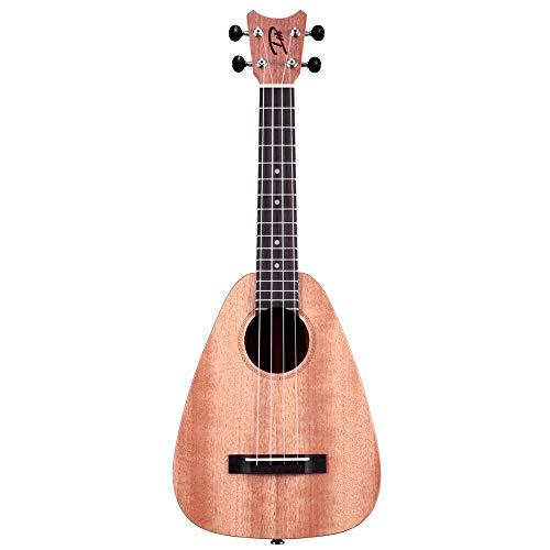 ROMERO CREATIONS Daniel Ho ウクレレパック 初心者向けセット - 楽器 