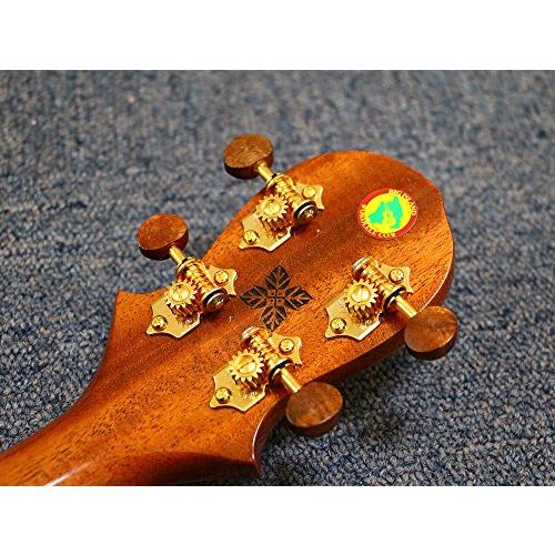 【新版】 Big Island Ukulele KX Deluxe Series テナー w/PU KXE-TRG 【AA2660267974】(93654円)