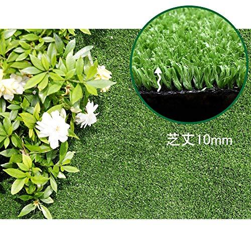 HBedding リアル人工芝 ロール マット芝丈10mm (幅1m×長さ3m) 耐久性強い 4種のMIX葉 (多サイズ選択可） ナチ