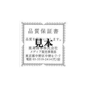 KASHIMAプラチナ900 0.1ct ダイヤモンド 10ストーン ペンダント ネックレス 1ct ネックレス ZYX1134001634(11235円)