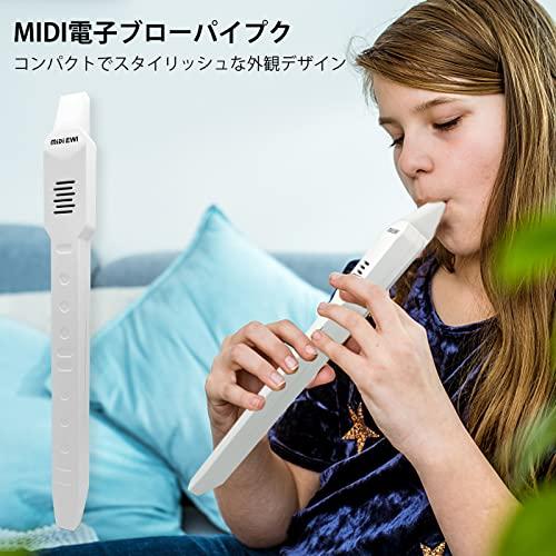ウインドシンセサイザー 電子管楽器 MIDIコントローラー イーウィ電子