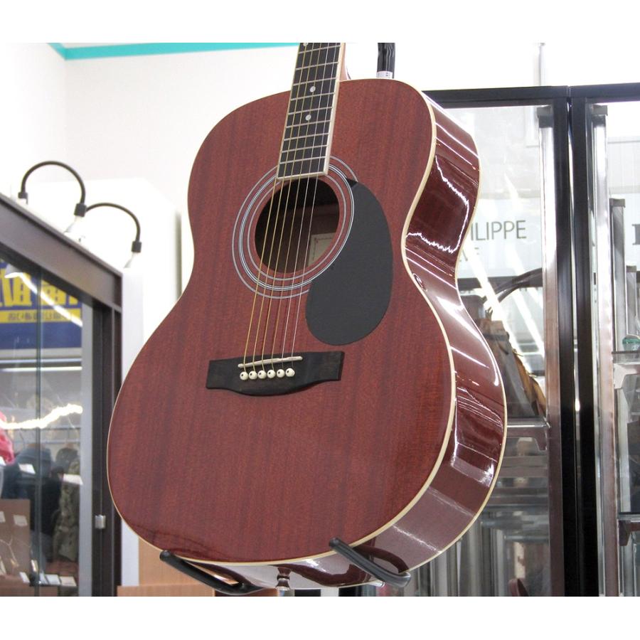 HONEY BEE ハニービー アコースティックギター フォークギタータイプ F