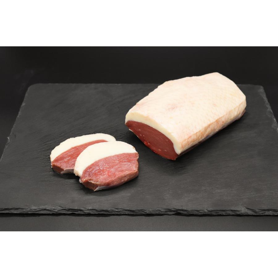 印材、遊印、篆刻、書道、落款印（中国十大名駿馬圖）十馬印（11点）