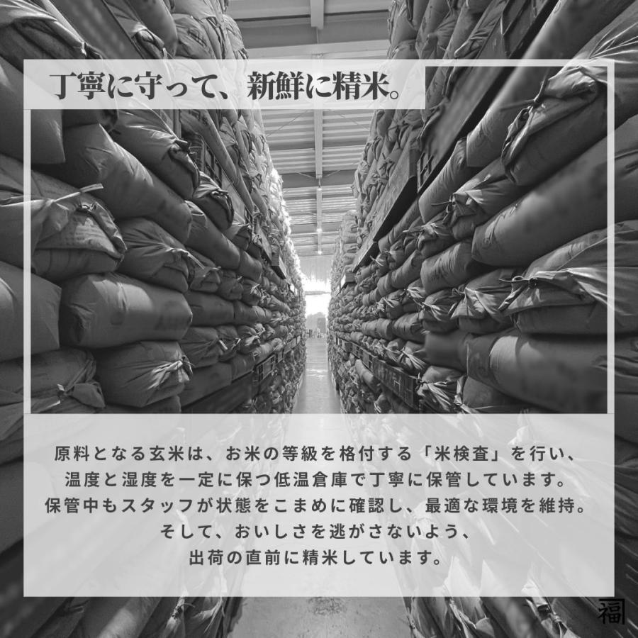 フクテイライス【白米】北東北産 お米 米 あきたこまち 令和7年産 (20kg)_6