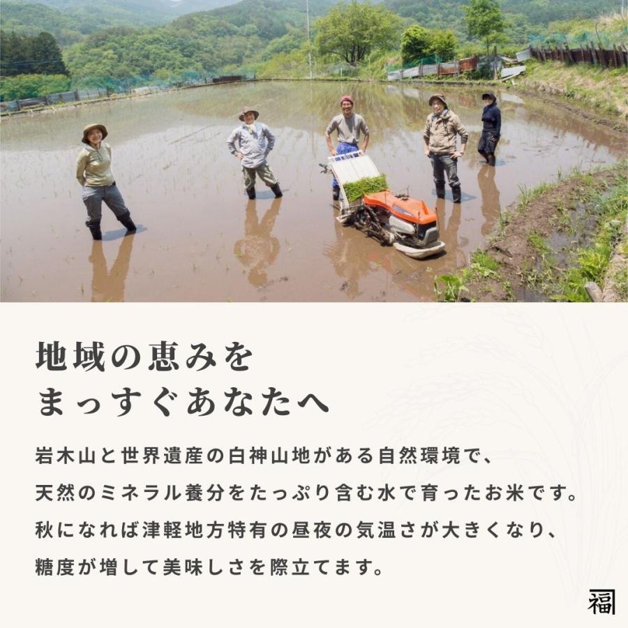 フクテイライス【白米】青森県産 お米 米 はれわたり 100％ 令和7年産 10kg 5kg×2袋 お米 コメ 送料無料 単一原料米 一等米 精米 家庭用 業務用 ギフト 贈答用 |  | 06