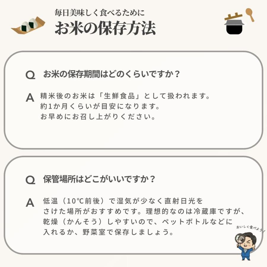 フクテイライス【白米】青森県産 お米 米 はれわたり 100％ 令和7年産 10kg 5kg×2袋 お米 コメ 送料無料 単一原料米 一等米 精米 家庭用 業務用 ギフト 贈答用 |  | 08