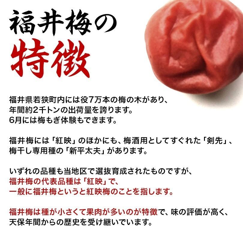 梅干し　送料無料 うす塩梅干し（塩分約10％）420ｇ/肉厚/福井県産紅映梅/贈り物/ギフト/お土産/出産内祝/内祝い/お取り寄せ グルメ｜fukuume｜07