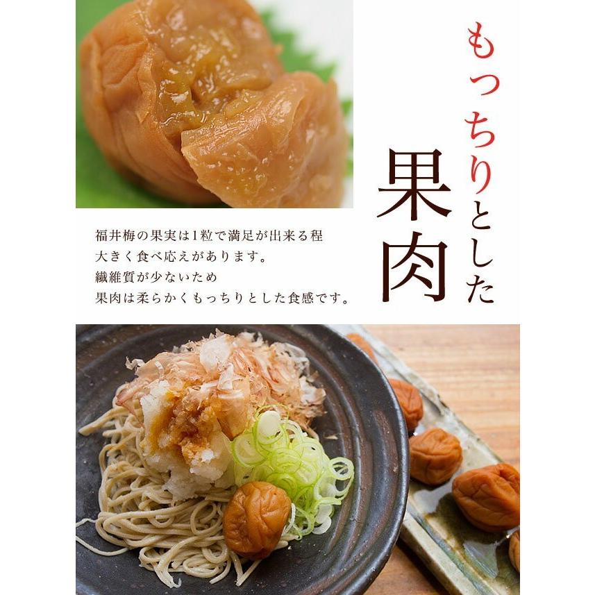 梅干し　うす塩味福梅ぼし 100g　お取り寄せ グルメ｜fukuume｜06