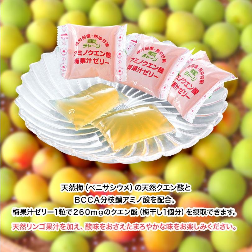梅果汁一口ゼリー 福井県産紅映梅使用80ｇ入 天然果汁30 アミノ酸 クエン酸 無直色 無香料 お取り寄せ グルメ Buz 015 福梅ぼし Yahoo 店 通販 Yahoo ショッピング
