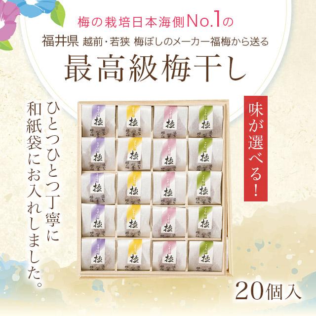 福梅ぼし 最高級 梅干し 個包装 禅風味 極 20粒セット 梅干し 贈り物