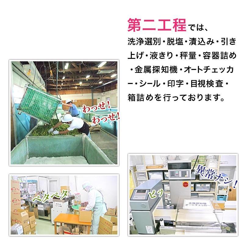 遅れてごめんね。母の日 2024 プレゼント ギフト 梅干し 60代 70代 80代 食品　梅干し 個包装『嬉』12粒入　カーネーション フラワー  送料無料｜fukuume｜12