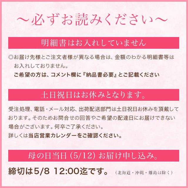 遅れてごめんね。母の日 2024 プレゼント ギフト 梅干し 60代 70代 80代 食品　梅干し 個包装『嬉』12粒入　カーネーション フラワー  送料無料｜fukuume｜19