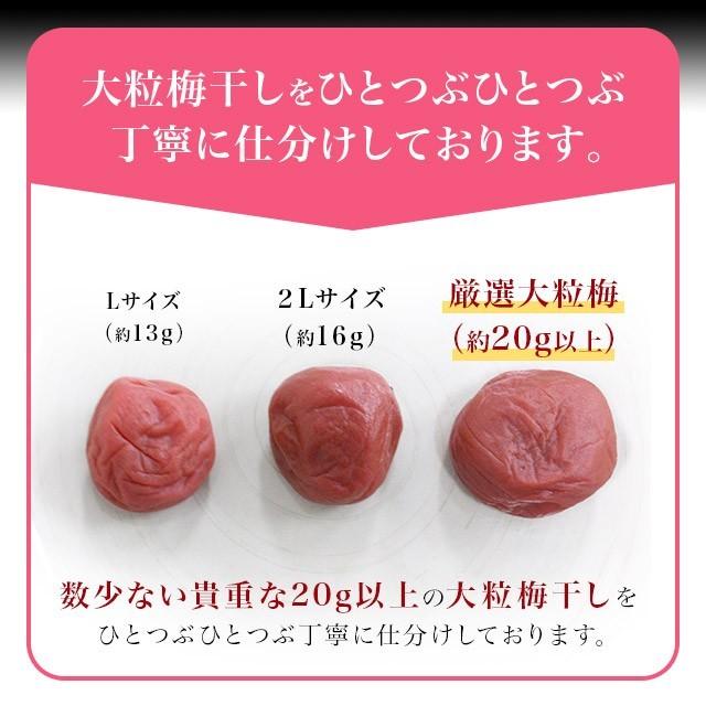 遅れてごめんね。母の日 2024 プレゼント ギフト 梅干し 60代 70代 80代 食品　梅干し 個包装『嬉』12粒入　カーネーション フラワー  送料無料｜fukuume｜07