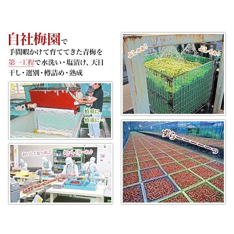 梅干し お試しセット30gx6味 好きな味が見つかる メール便でお届け 代引不可 着日時間指定不可 おためし お取り寄せ グルメ :MIX-018:福梅ぼし Yahoo!店 - 通販 - Yahoo!ショッピング 梅干し お試しセット30gx6味 好きな味が見つかる メール便でお届け 代引不可 着日時間指定不可 おためし お取り寄せ グルメ :MIX-018:福梅ぼし Yahoo!店 - 通販 - Yahoo!ショッピング