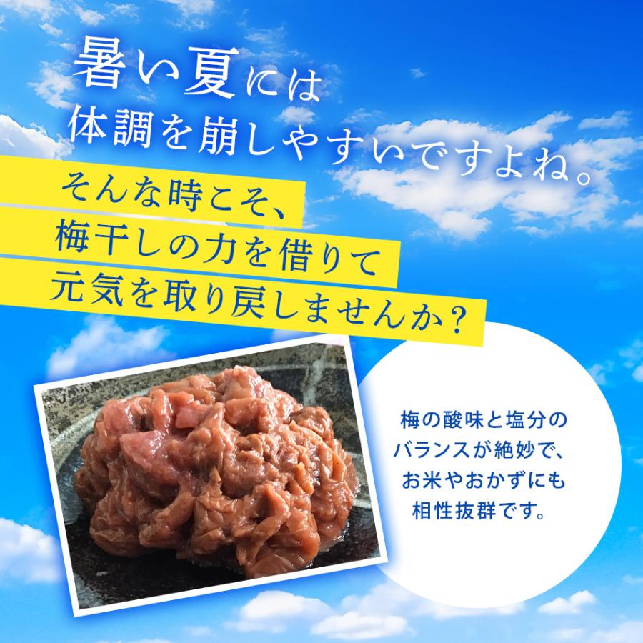 梅干し　訳あり　つぶれ梅　 くちゃ梅 しそ漬 300ｇX2パック　(塩分約15％)　無添加　つぶれ梅　しそ漬　グルメ　お取り寄せ グルメ　メール便｜fukuume｜02