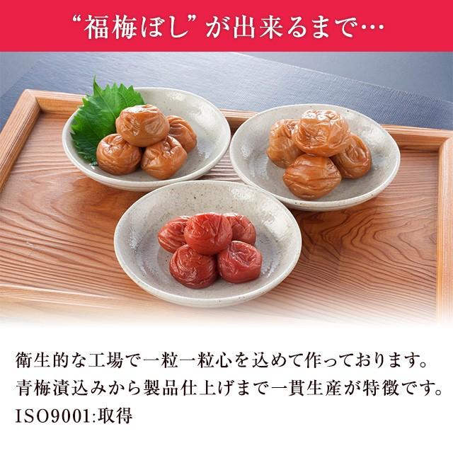 梅干し　送料無料 無添加ねり梅 140g×2個セット 福井県産　紅映梅　ねり梅(練り梅)/調味料/梅干し/しそ梅　お取り寄せ グルメ｜fukuume｜07