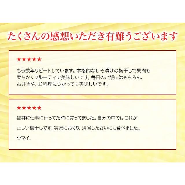 梅干し　送料無料 無添加しそ漬福梅ぼし420g　福井県産/ギフト/手土産/贈り物/お土産/出産内祝い/内祝/引出物/香典返し/快気祝/御祝/粗供養　 グルメ　｜fukuume｜04