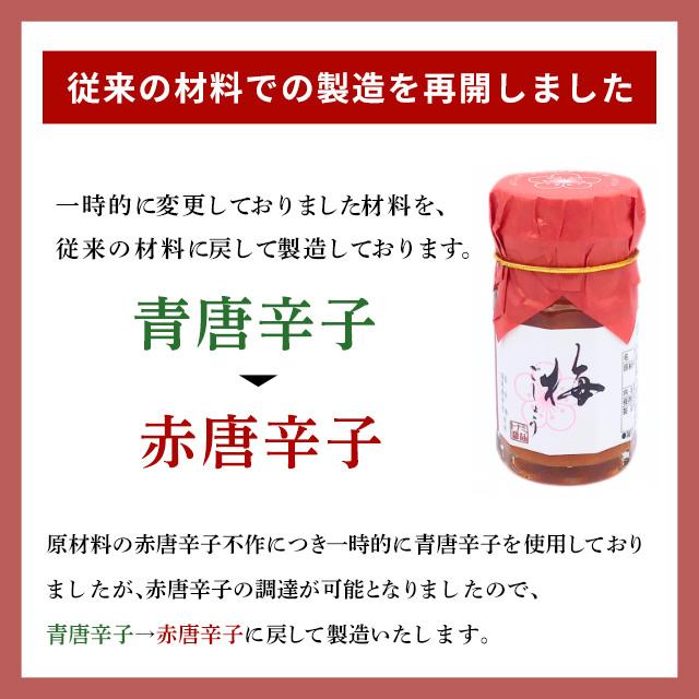 調味料 梅ごしょう50g 福井県産紅映梅使用 お取り寄せ グルメ