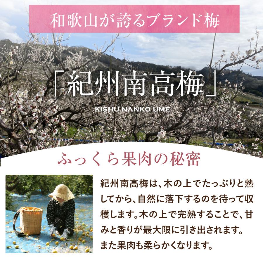 送料無料 梅干し はちみつ 南高梅干し 和歌山 南高梅 ギフト プレゼント 食べ比べ お試しセット | 福梅本舗 | 13