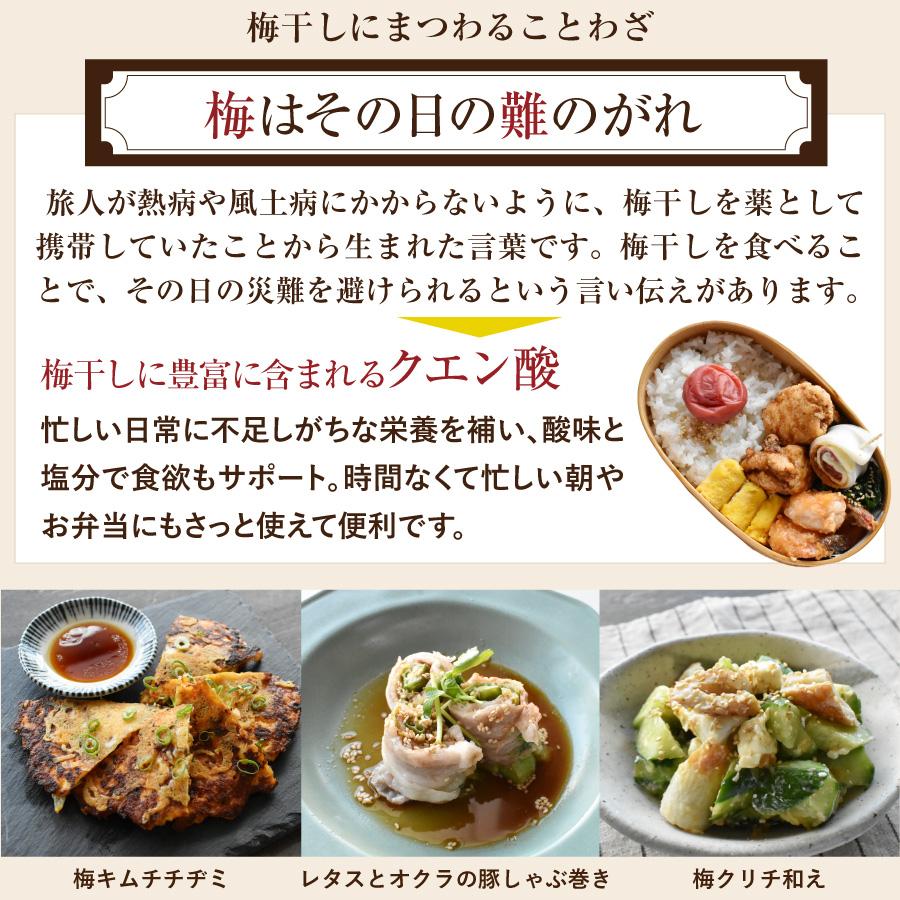 送料無料 梅干し はちみつ 南高梅干し 和歌山 南高梅 ギフト プレゼント 食べ比べ お試しセット | 福梅本舗 | 16