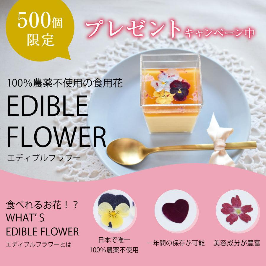 最新デザインの 母の日 プリン スイーツ 送料無料 梅 梅干し ギフト プレゼント 人気 インスタ映え 梅プリン 母の日限定 ルナ フキュメ 6個入 紀州 完熟南高梅使用 Wantannas Go Id