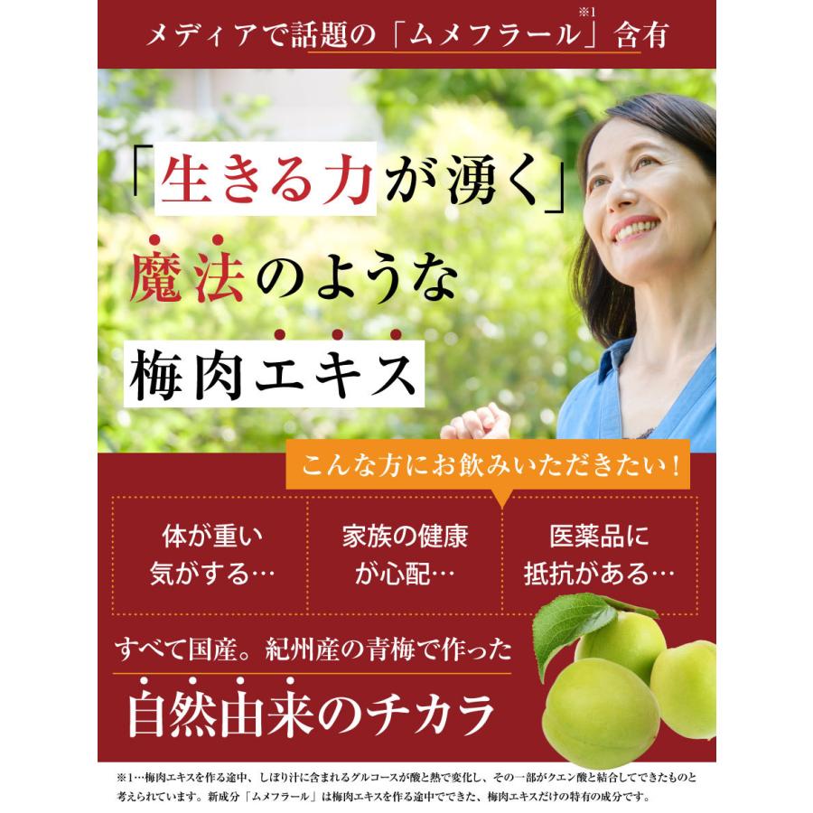 梅肉エキス カプセル 南高梅干し 和歌山 クエン酸 サプリメント 梅