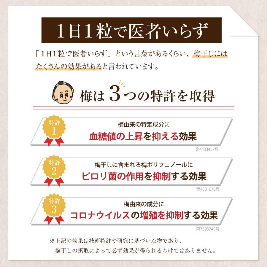 梅干し はちみつ 南高梅干し 和歌山 南高梅 ギフト プレゼント まろやか梅250g | 福梅本舗 | 09