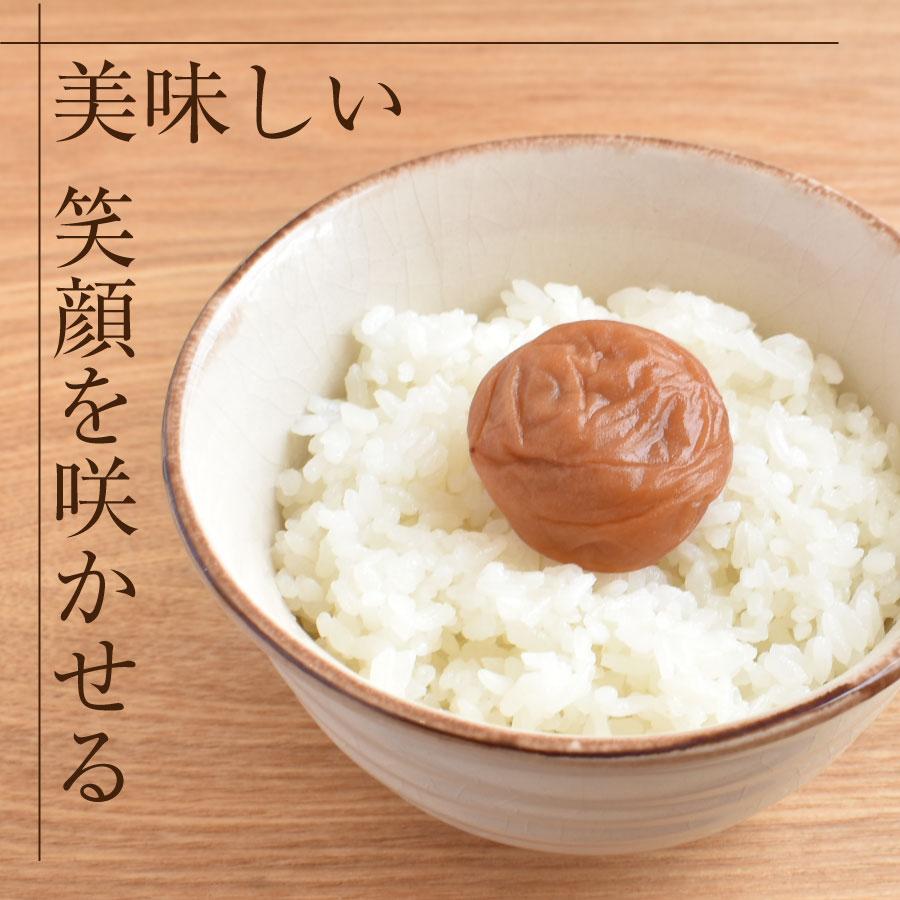 福梅本舗 梅干し 無添加 白干し 南高梅干し 和歌山 南高梅 ギフト