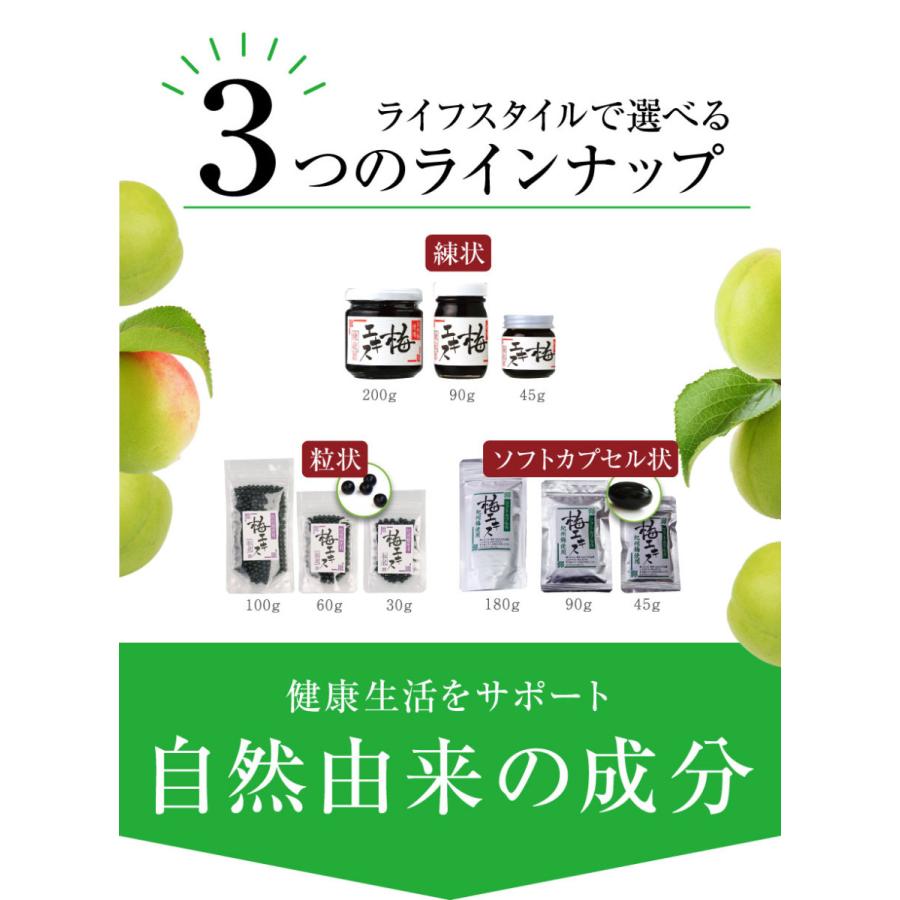 梅肉エキス 南高梅干し 和歌山 クエン酸 梅エキス 練状 45g : 紀州