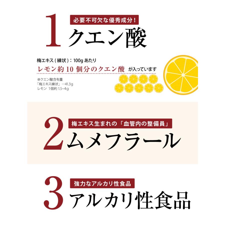 福梅本舗 梅肉エキス 南高梅干し 和歌山 クエン酸 梅エキス 練状 90g