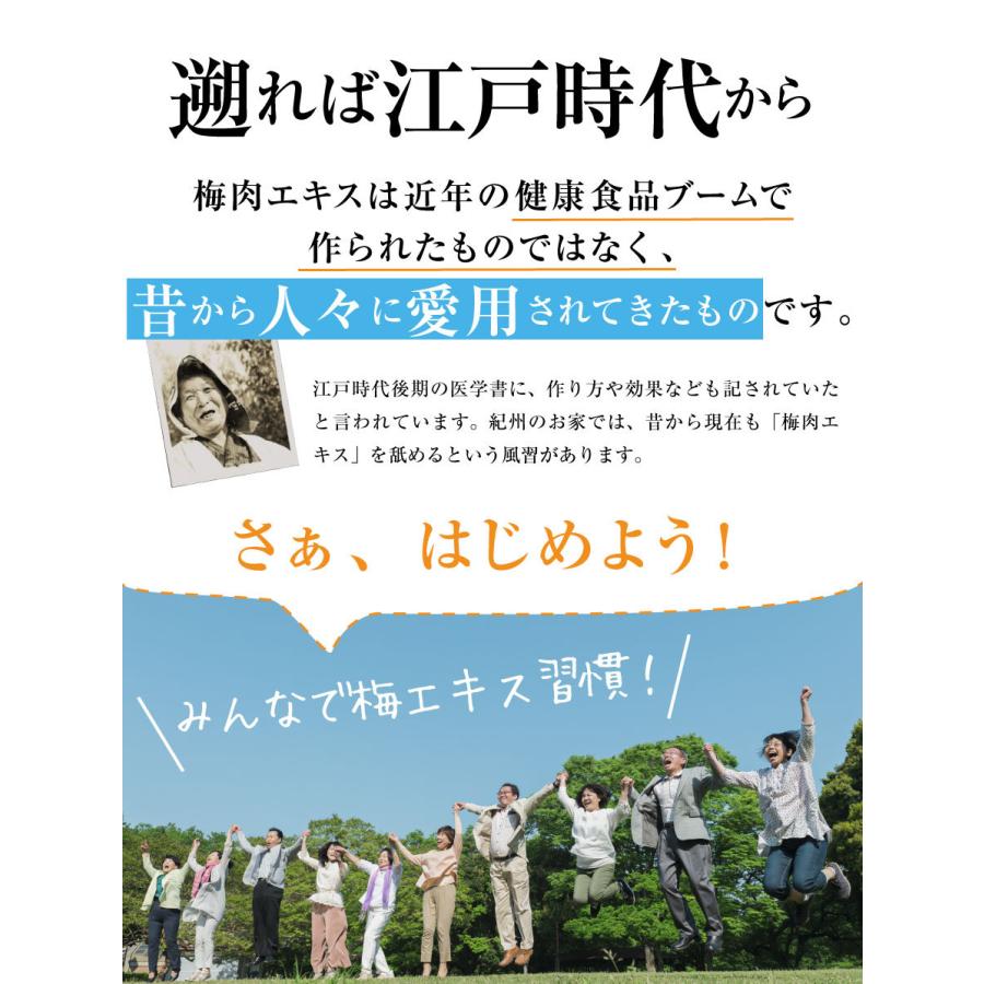 福梅本舗 梅肉エキス 南高梅干し 和歌山 クエン酸 梅エキス 練状 90g