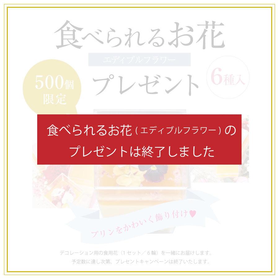母の日 プリン スイーツ 送料無料 梅 梅干し ギフト プレゼント 人気 インスタ映え 梅プリン ルナ・フキュメ 4個入 紀州 完熟南高梅使用 | 福梅本舗 | 10