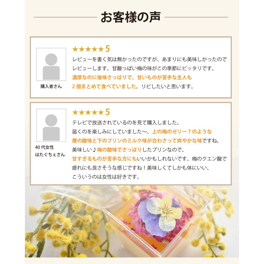 母の日 プリン スイーツ 送料無料 梅 梅干し ギフト プレゼント 人気 インスタ映え 梅プリン ルナ・フキュメ 4個入 紀州 完熟南高梅使用 | 福梅本舗 | 13