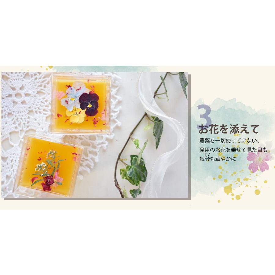 母の日 プリン スイーツ 送料無料 梅 梅干し ギフト プレゼント 人気 インスタ映え 梅プリン ルナ・フキュメ 4個入 紀州 完熟南高梅使用 | 福梅本舗 | 07