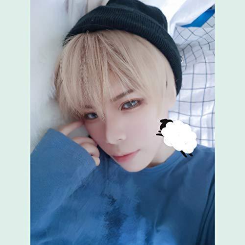 ファッション通販 人気 耐熱 小顔 自然 ハンサム イケメン 原宿 ショート メンズ かつら ウィッグ Hawkko ファッション 男女兼用 ベー イメチェン ふわふわ セットアップ Www Sustentec Com Br