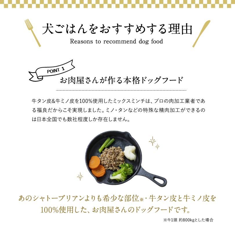 犬ごはん(無添加ドッグフード)「スプーン1杯のしあわせ」ドッグフード　健活ドッグフード　コラーゲン・ビタミンドッグフード　1箱／300g×3袋　冷凍 |  | 02