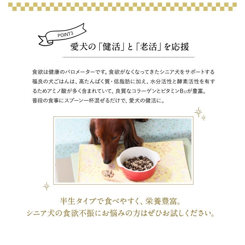 犬ごはん(無添加ドッグフード)「スプーン1杯のしあわせ」ドッグフード　健活ドッグフード　コラーゲン・ビタミンドッグフード　1箱／300g×3袋　冷凍 |  | 04
