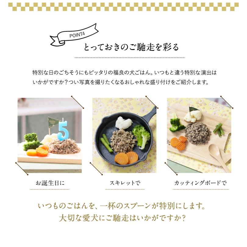 犬ごはん(無添加ドッグフード)「スプーン1杯のしあわせ」ドッグフード　健活ドッグフード　コラーゲン・ビタミンドッグフード　1箱／300g×3袋　冷凍 |  | 05