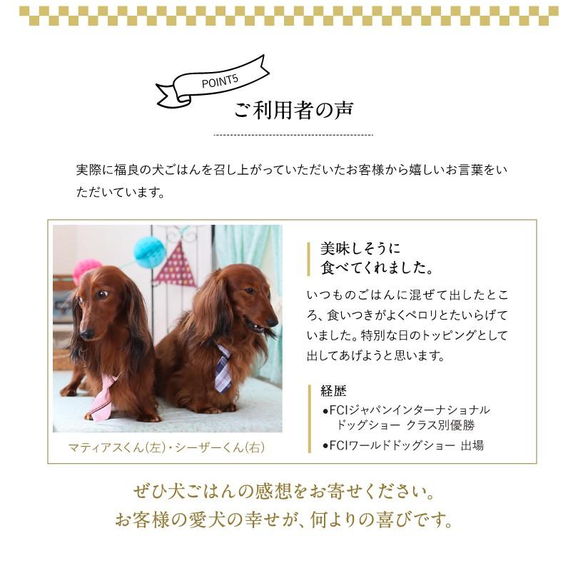 犬ごはん(無添加ドッグフード)「スプーン1杯のしあわせ」ドッグフード　健活ドッグフード　コラーゲン・ビタミンドッグフード　1箱／300g×3袋　冷凍 |  | 06