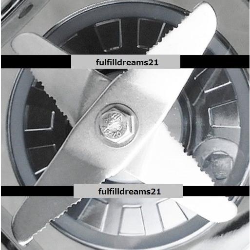 GERWELL G5500 容量3L ドイツモーター 日本製氷砕ブレード 高性能 ハイパワー ミキサー ジューサー 氷も砕ける ブレンダー スムージー フローズンドリンク 