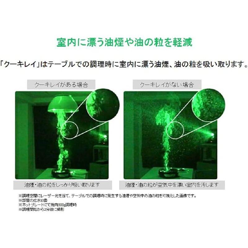 高評価続出！ 富士工業 ダイニング照明 クーキレイ 空気清浄 脱煙 脱臭 脱油 調光 調色 ブラック C-BE511-BK 【UOI6475196378】(22796円)